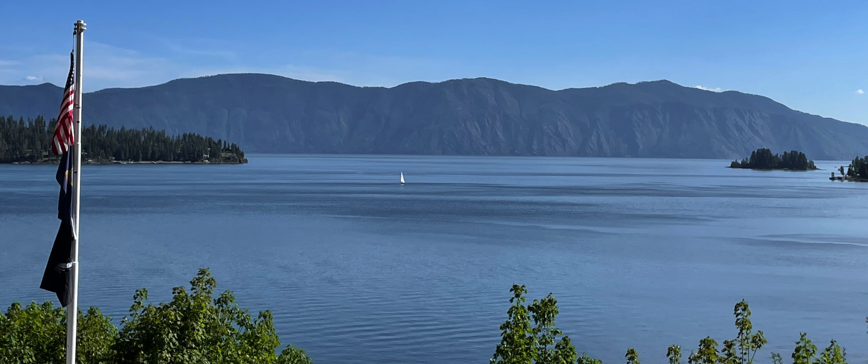 Summer Header 1